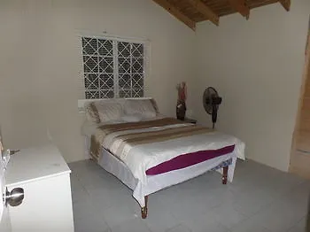 酒店 Little Cottage Of Rose Hall 蒙特哥贝